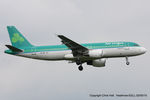EI-DVI photo, click to enlarge EI-DVI photo, click to enlarge