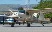 N3151N @ KRHV - A local 1947 Cessna 120 parked near Aero Dynamic Aviation at Reid Hillview Airport, CA. - by Chris Leipelt