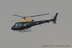 ZJ272 photo, click to enlarge ZJ272 photo, click to enlarge