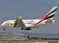 A6-EER photo, click to enlarge A6-EER photo, click to enlarge