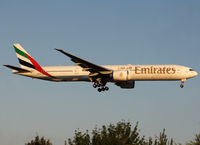 A6-ECA photo, click to enlarge A6-ECA photo, click to enlarge