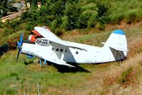 SP-TCD - Antonov An-2R [1G173-03] Cerbaiola/Emilia-Romagna~I 16/07/2004. Unmarked. - by Ray Barber