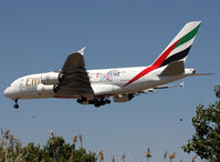 A6-EDG photo, click to enlarge A6-EDG photo, click to enlarge