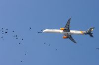 D-ABOK @ EDDL - Flying with the birds - by Günter Reichwein