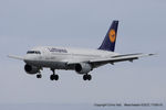D-AILY @ EGCC - Lufthansa - by Chris Hall