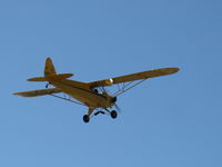 N23266 @ SZP - 1939 Piper J3C-65 CUB, Continental A&C65 65 Hp, another takeoff climb - by Doug Robertson