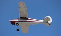 N2551C @ LAL - Cessna 170B - by Florida Metal