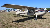 N2766D @ LAL - Cessna 170B - by Florida Metal