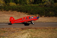 N9801B @ 5S0 - A beautiful mountain morning with a gleaming Bellanca landing at Oakridge State Airport - by Robert Sullivan