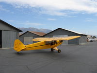 N98661 @ SZP - 1946 Piper J3C-65 CUB, Continental C75 75 Hp upgrade - by Doug Robertson