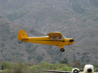 N98661 @ SZP - 1946 Piper J3C-65 CUB, Continental A&C75 75 Hp upgrade, landing Rwy 22 - by Doug Robertson