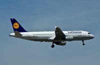 D-AIPL @ EDDF - Lufthansa, is here landing at Frankfurt Rhein/Main(EDDF) - by A. Gendorf