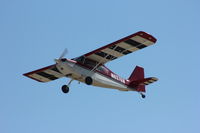 N6376N @ KOSH - Champion 7ECA - by Mark Pasqualino