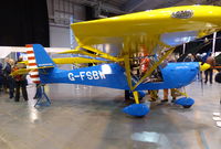 G-FSBW - G-FSBW  exhibited at the Flyer Live Show, Telford International Centre 28.11.15 - by GTF4J2M