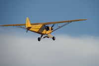 N11MK @ 1TE4 - Yellow Cub - by CBaumann