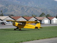 N98661 @ SZP - 1946 Piper J3C-65 CUB, Continental C75 75 hp upgrade, landing roll Rwy 22L grass - by Doug Robertson