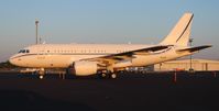 OE-LGS @ ORL - Private A319CJ - by Florida Metal