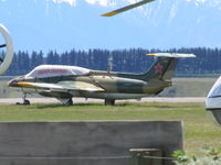 ZK-JET @ NZWF - pretty tiny reggie on this jet - by magnaman
