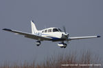 G-MELS photo, click to enlarge G-MELS photo, click to enlarge