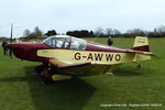 G-AWWO @ EGHP - at the Jodel fly in at Popham - by Chris Hall