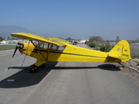 N88091 @ SZP - Locally-based 1946 Piper J3C-65 Cub @ Santa Paula Airport, CA [painted as NC88091 - by Steve Nation