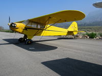 N88091 @ SZP - Locally-based 1946 Piper J3C-65 Cub @ Santa Paula Airport, CA as NC88091 - by Steve Nation
