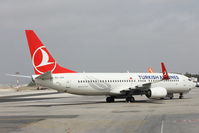 TC-JVG @ LMML - B737-800 TC-JVG Turkish Airlines - by Raymond Zammit