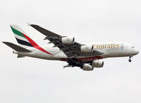 A6-EEC photo, click to enlarge A6-EEC photo, click to enlarge
