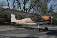 N2906C @ SZP - Locally-based 1954 Cessna 180 Skywagon @ Santa Paula Airport, CA - by Steve Nation