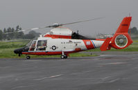 6586 @ KAPC - USCG Aerospatiale HH-65C from CGAS San Francisco, CA taxiing for fuel stop @ Napa County Airport, CA - by Steve Nation