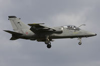 MM7168 - Italian Air Force	GUIZ01 B* Aeritalia AMX ACOL