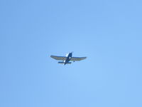 G-BLHH - Flying over my house - by alan randall