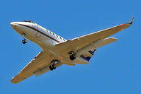 N5736 @ EGLL - Hawker-Siddeley 125/800XP2 [258471] Home~G 24/06/2006. On approach 27R. - by Ray Barber
