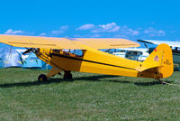 N87927 @ KOSH - Piper J/3C-65 Cub [15545] Oshkosh-Wittman Regional Airport~N 28/07/2008 - by Ray Barber