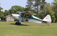 N5920H @ 88C - Piper PA-16 - by Mark Pasqualino