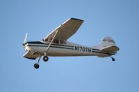 N170TW @ LAL - Cessna 170A - by Florida Metal