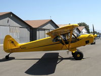 N536CS @ SZP - 2007 Cub Crafters CC11-100 SPORT CUB, E-LSA, Continental O-200A 100 Hp, a beautiful, well-kept airplane! - by Doug Robertson