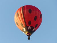 G-CCNC - Ladybird Balloon over Pilsley Derbyshire taken from my garden - by Jez Stringfellow
