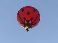 G-CCNC - Ladybird  Balloon - by Jez Stringfellow