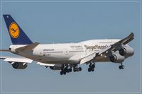 D-ABYK @ EDDF - Boeing 747-830 - by Jerzy Maciaszek