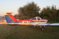 F-GCTX @ EDST - On a sunny early morning at the Hahnweide - by lkuipers