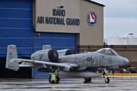 78-0619 @ KBOI - 190th Fighter Sq., 124th Fighter Wing, Idaho ANG. One of 12 A-10Cs back from 6 months in the Middle East. - by raptor767