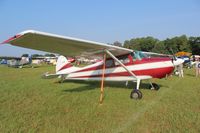 N2551C @ LAL - Cessna 170B - by Florida Metal
