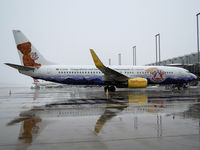 D-AHFR @ EDDK - Boeing 737-8K5(WL) - TUIfly 'Bärenmarke' - D-AHFR - 12.03.2013 - CGN - by Ralf Winter