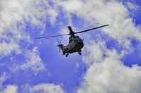 T-316 @ LSZF - T-316 Swiss army Aerospatiale AS332M1 Super Puma C/N 2334 helicopter during air-show at Birrfeld airfield in Switzerland - by miro susta