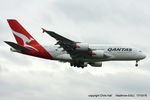 VH-OQG photo, click to enlarge VH-OQG photo, click to enlarge