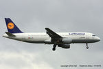 D-AIPL @ EGLL - Lufthansa - by Chris Hall