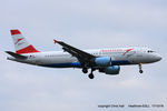 OE-LBM photo, click to enlarge OE-LBM photo, click to enlarge