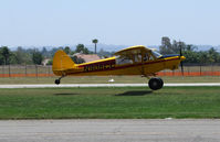 N906CC @ KRIR - 2001 Piper Cub Crafters PA-18-150 landing on the grass between runway and taxiway @ Flabob Airport, Riverside, CA - by Steve Nation