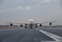 16 02 @ EDDK - Airbus A340-313X - GAF German Air Force - 355 - 16.02.2017 - CGN - by Ralf Winter